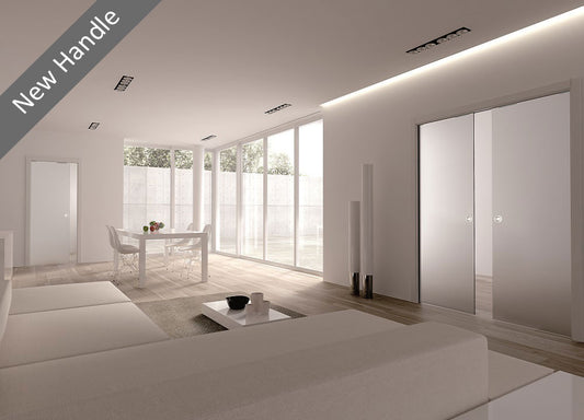Classic 8mm double Glass Pocket Door System with 58 mm round satin stainless steel flush pull handl