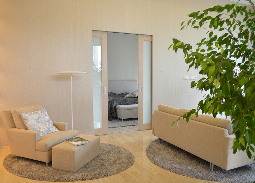 Syntesis® Flush DOUBLE Pocket Door System  - New Sizing